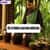 BSc in Modern Ayurveda Admission 2025: Process, Fees, Eligibility, Top Colleges